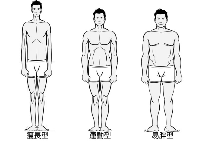 Bodytypes.jpg