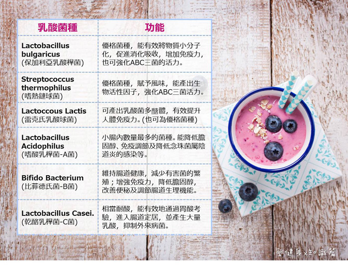 乳酸菌種表.jpg 乳酸菌種表.jpg